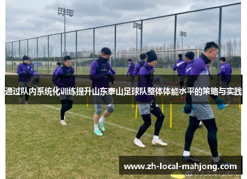 通过队内系统化训练提升山东泰山足球队整体体能水平的策略与实践