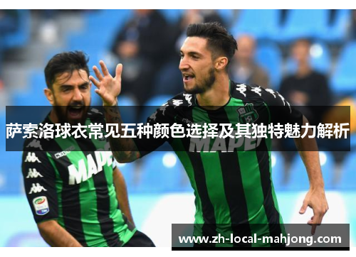 萨索洛球衣常见五种颜色选择及其独特魅力解析
